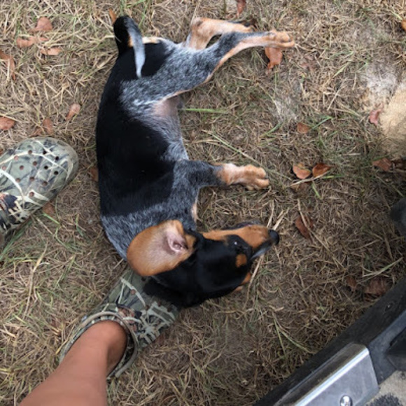 Meet your Posher, Leann - Picture 1 of 1